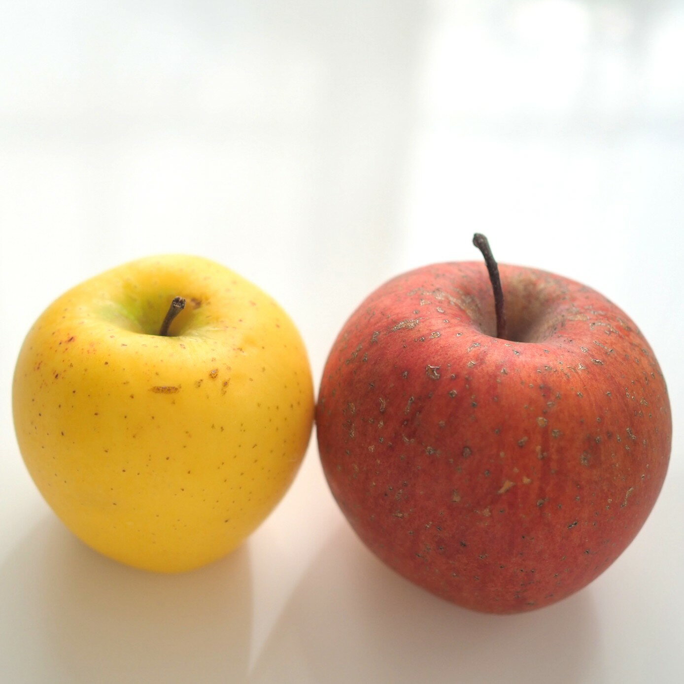 【ふるさと納税】〔松本農未来project〕 信州松本産 サンふじ、シナノゴールド MIX 約5kg(13～16玉)│信州 りんご サンふじ シナノゴールド 詰め合わせ フルーツ 果物 長野県 松本市 松本市 ふるさと納税 サムネイル2