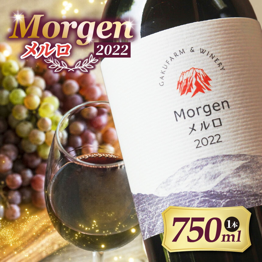Morgenメルロ2022｜ワイン 信州 赤ワイン ぶどう 長野県 松本市 希少価値 わいん 酒 おさけ さけ メルロ