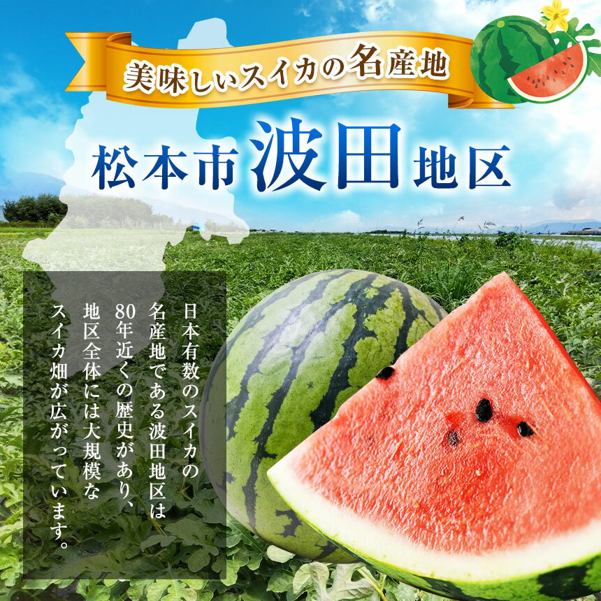 【ふるさと納税】【先行受付：2026年発送】 信州名産 スイカ 長野県 波田産 西瓜 2L（ 約7kg～8kg ) │ 信州 松本市 名産地 すいか 果物 野菜 フルーツ くだもの ふるーつ ふるさと納税 好食感 高糖度 甘い 美味しい 長野名物 特産品 夏果物 令和8年 7月 - 8月 発送 サムネイル3