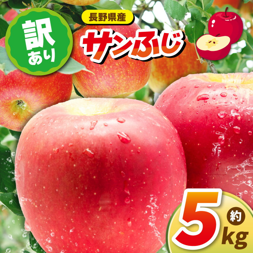 訳アリりんごサンふじ 5kg｜ 訳あり ふるさと納税 長野県 松本市 リンゴ りんご フジ