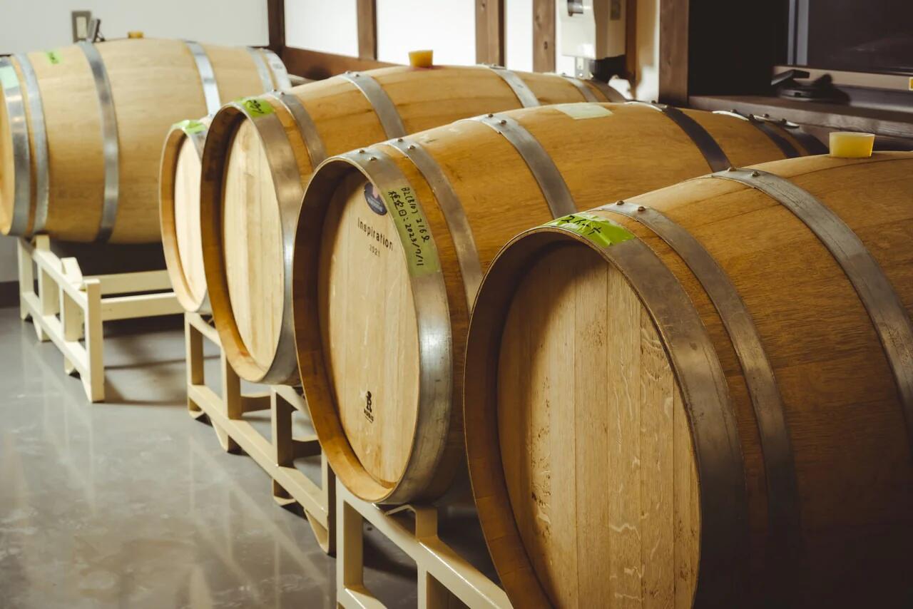 【ふるさと納税】CIDRE DRY 2023(シードル) 1本 750ml｜信州 シードル 料理 林檎 りんご 酸味 ブレンド 発泡性 辛口 ぶどう 長野県 松本市 老舗 ワイナリー 定番 酒 おさけ さけ アルコール サムネイル2