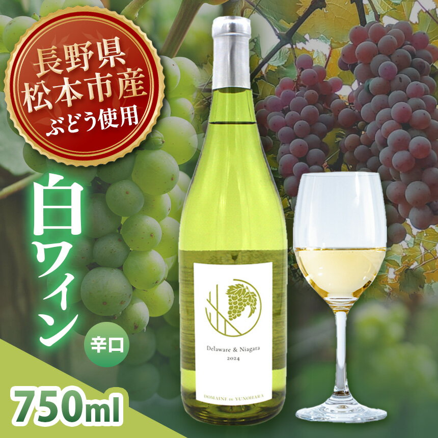 Delaware ＆ Niagara 2024(デラウェア×ナイアガラ) 1本 750ml｜ワイン 信州 白ワイン 辛口 ぶどう デラウェア ナイアガラ 長野県 松本市 老舗 ワイナリー 定番 わいん 酒 おさけ さけ アルコール