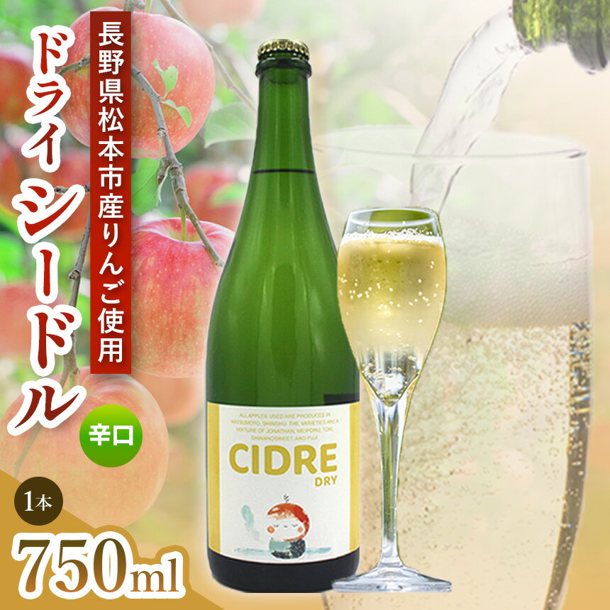 CIDRE DRY 2023(シードル) 1本 750ml｜信州 シードル 料理 林檎 りんご 酸味 ブレンド 発泡性 辛口 ぶどう 長野県 松本市 老舗 ワイナリー 定番 酒 おさけ さけ アルコール