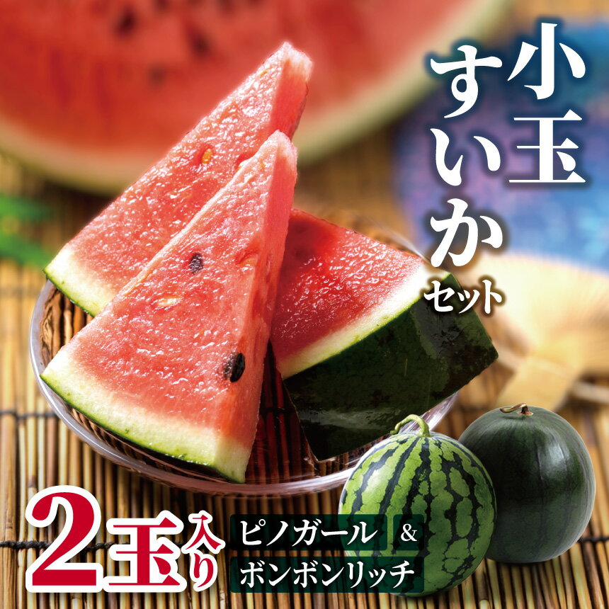【先行受付：2026年発送】小玉すいかセット（ボンボンリッチ＆ピノガール）2玉入り │ すいか スイカ ボンボンリッチ ピノガール 野菜 夏 果物 新鮮 自然 甘い 美味しい 波田 長野県 信州 松本 ふるさと納税
