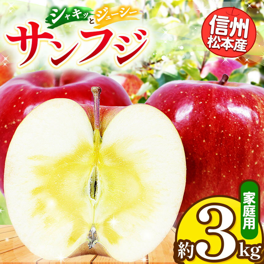 信州松本産　サンふじ　約3kg 家庭用（訳あり品） │ 林檎 りんご リンゴ サンふじ 果汁 果物 貴重 くだもの フルーツ 自然 旬 ご褒美 長野県 信州 松本 ふるさと納税