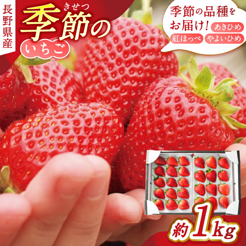 松本産 季節のいちご　約1kg（あきひめ・紅ほっぺ・やよいひめ）│いちご 苺 イチゴ あきひめ 紅ほっぺ やよいひめ 果物 フルーツ 信州 長野県 松本 ふるさと納税