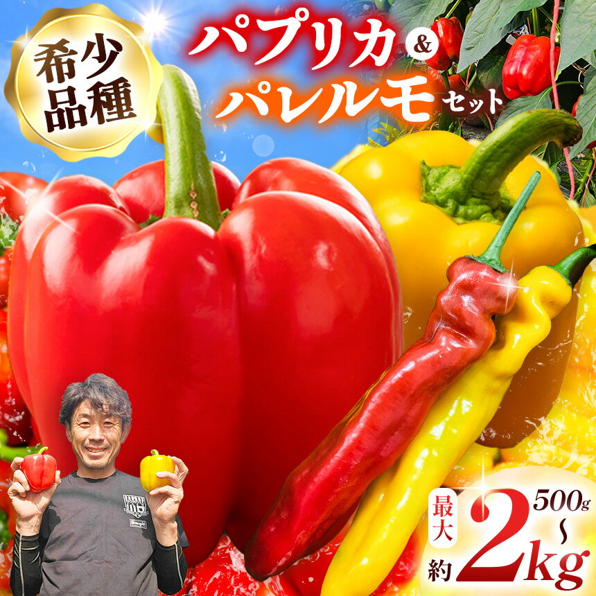 【先行受付：7月発送】【選べる内容量】パプリカ＆パレルモ(希少品種)　約500g～2kg | パプリカ パレルモ 野菜 希少 ジューシー フレッシュ ヘルシー ふるさと納税 信州 長野県 松本市