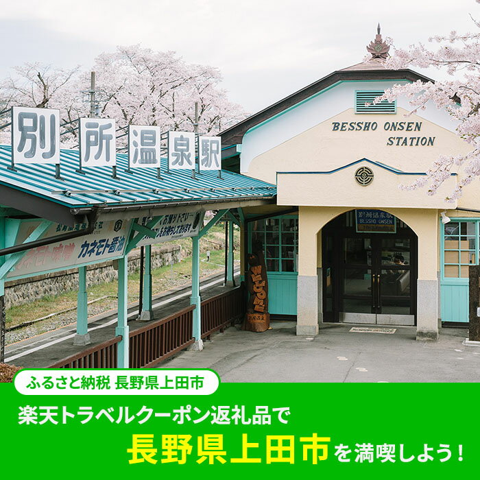 【ふるさと納税】 長野県上田市の対象施設で使える 楽天トラベルクーポン 寄付額30,000円(クーポン9,000円)　 長野 宿泊 宿泊券 ホテル 旅館 旅行 旅行券 観光 トラベル チケット 旅 宿 券 サムネイル2