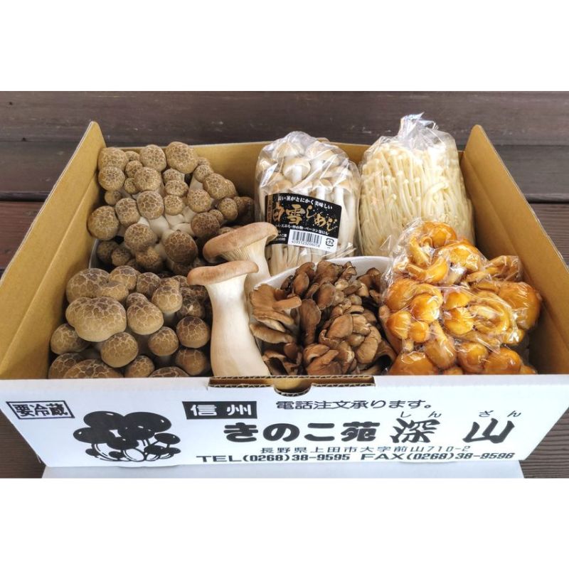 朝採りきのこ6種詰め合わせ