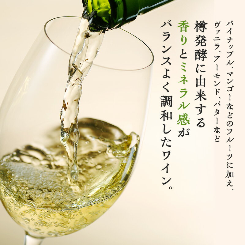 【ふるさと納税】ワイン 椀子シャルドネ 750ml シャトー・メルシャン シャルドネ 白ワイン 辛口 お酒 酒 アルコール ギフト 贈り物 プレゼント　 上田市 　お届け：30日以内に発送いたします サムネイル2