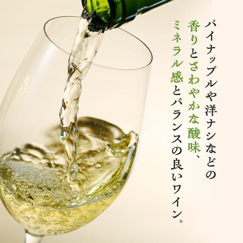 【ふるさと納税】ワイン 椀子シャルドネ アンウッデッド 750ml シャトー・メルシャン シャルドネ 白ワイン 辛口 お酒 酒 アルコール ギフト 贈り物 プレゼント　 上田市 　お届け：30日以内に発送いたします サムネイル2