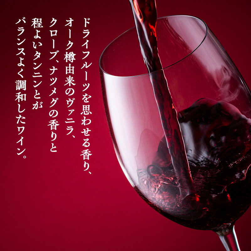 【ふるさと納税】ワイン 椀子メルロー カベルネ・フラン 750ml シャトー・メルシャン メルロー 赤ワイン フルボディ お酒 酒 アルコール ギフト 贈り物 プレゼント　 上田市 　お届け：30日以内に発送いたします サムネイル2