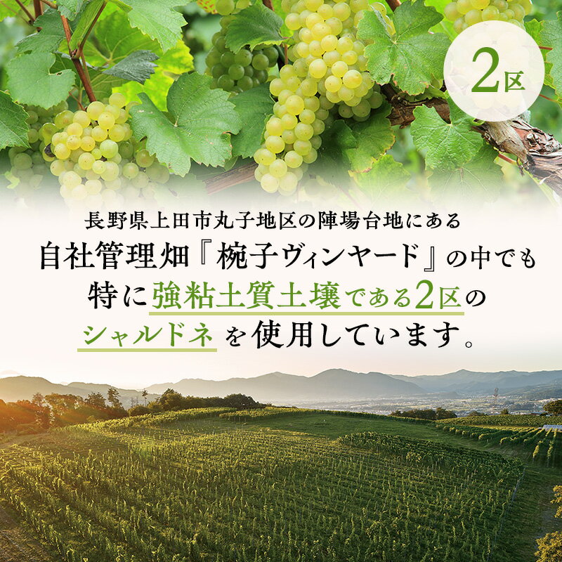 【ふるさと納税】限定 ワイン 椀子シャルドネ ブロック2 750ml 椀子ワイナリー限定品 シャトー・メルシャン シャルドネ 白ワイン 辛口 お酒 酒 アルコール ギフト 贈り物 プレゼント　 上田市 　お届け：30日以内に発送いたします サムネイル3