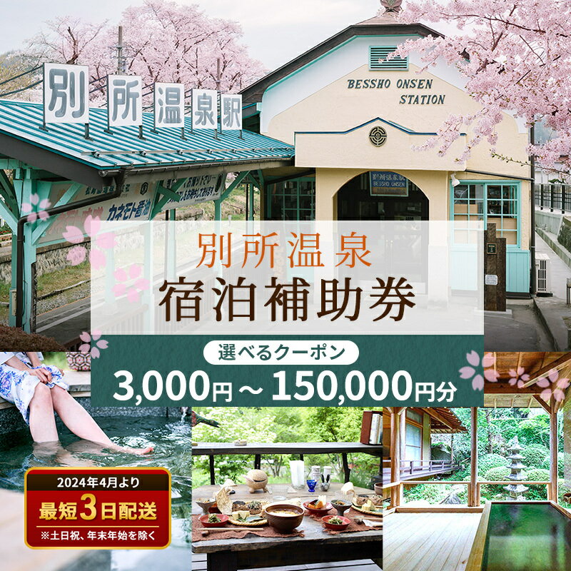 旅行 長野 信州 別所温泉 宿泊補助券 金額選べる 温泉 旅館 旅行券 宿泊券 施設利用券 利用券 トラベル チケット ホテル券 ホテルクーポン ホテル 長野県別所温泉旅館組合(両国倉庫)　 上田市