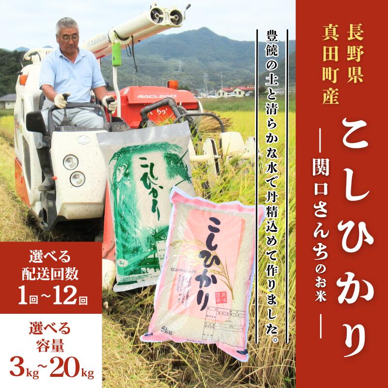 【ふるさと納税】米 コシヒカリ 関口さんちのお米 選べる 容量 回数 お米 精米 白米 ブランド米 ご飯 - 画像2
