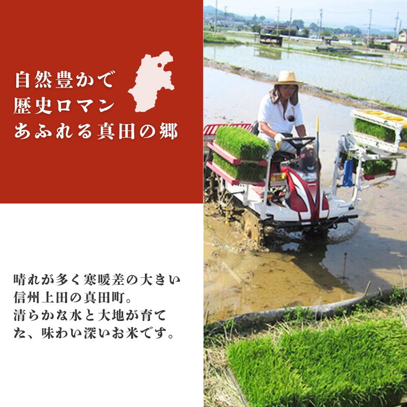 【ふるさと納税】米 コシヒカリ 関口さんちのお米 選べる 容量 回数 お米 精米 白米 ブランド米 ご飯 - 画像3