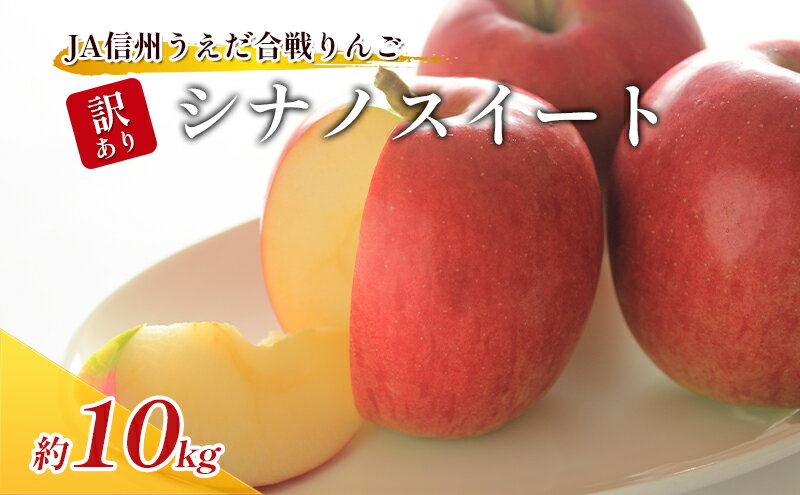 【ふるさと納税】訳あり りんご JA信州うえだ 合戦りんご シナノスイート 約10kg リンゴ 林檎 果物 くだもの フルーツ 信州 長野 離乳食 訳アリ わけあり 傷　お届け：2025年10月中旬から10月下旬まで サムネイル2