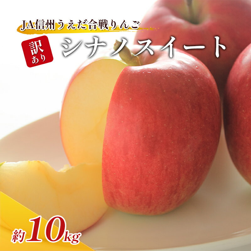 訳あり りんご JA信州うえだ 合戦りんご シナノスイート 約10kg リンゴ 林檎 果物 くだもの フルーツ 信州 長野 離乳食 訳アリ わけあり 傷　お届け：2025年10月中旬から10月下旬まで