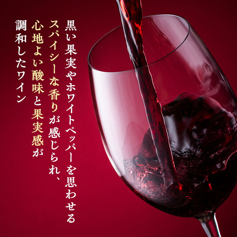 【ふるさと納税】ワイン 椀子シラー 750ml シャトー・メルシャン シラー 赤ワイン フルボディ お酒 酒 アルコール ギフト 贈り物 プレゼント　お届け：30日以内に発送いたします サムネイル3