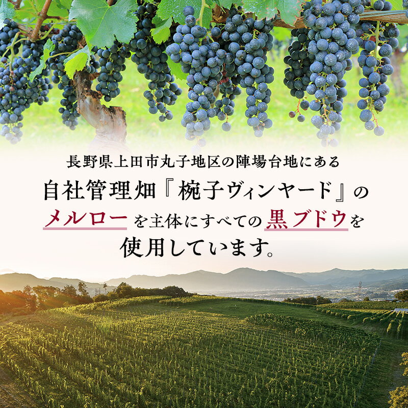 【ふるさと納税】限定 年ヴィンテージの限定品区画別メルロー 3本 セット メルロー 750ml 赤ワイン お酒 酒 アルコール 飲み比べセット ギフト 贈り物 プレゼント　お届け：30日以内に発送いたします サムネイル3