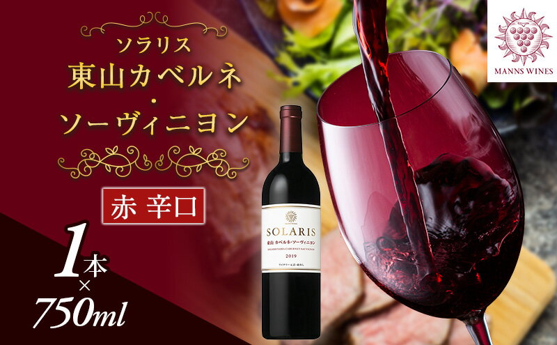 【ふるさと納税】ソラリス 東山カベルネ・ソーヴィニヨン ワイン 赤ワイン 日本ワインコンクール欧州系品種赤部門銀賞受賞 お酒 酒 アルコール 信州 長野 サムネイル2