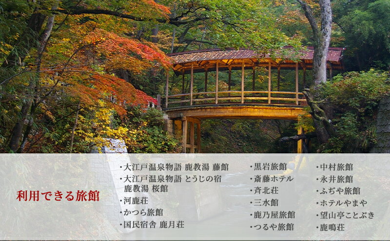 【ふるさと納税】旅行 長野 信州 鹿教湯温泉 宿泊 補助券 30枚セット 90,000円 温泉 旅館 旅行券 宿泊券 施設利用券 利用券 トラベル チケット ホテル券 ホテルクーポン ホテル 長野県 - 画像3