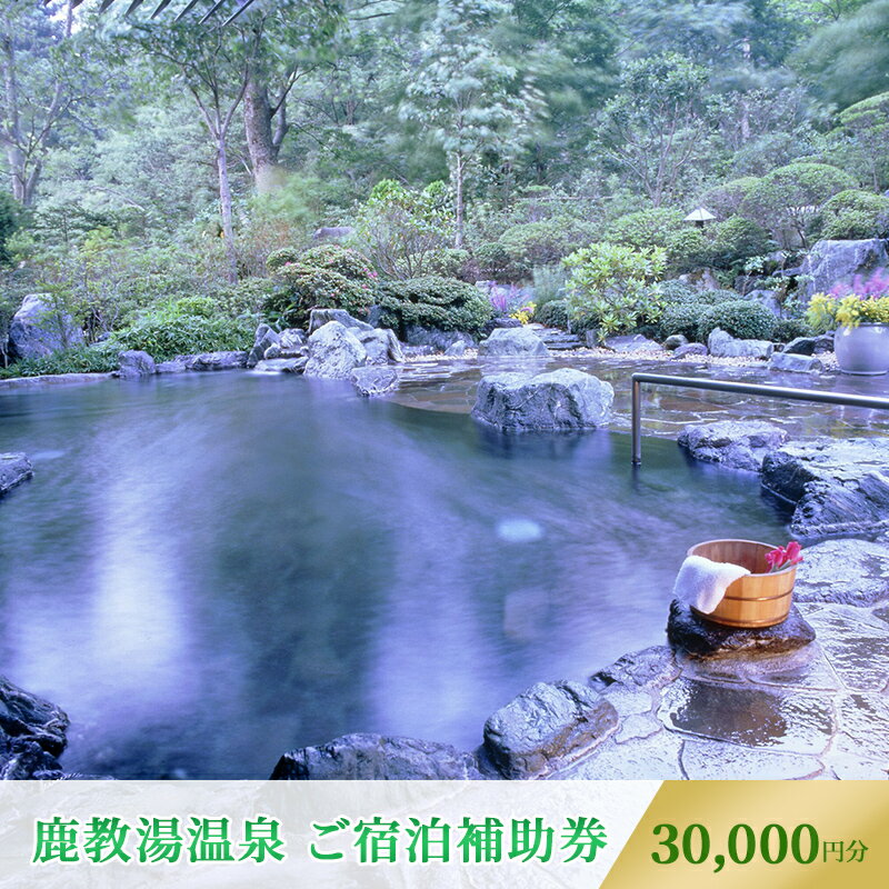 旅行 長野 信州 鹿教湯温泉 宿泊 補助券 10枚セット 30,000円 温泉 旅館 旅行券 宿泊券 施設利用券 利用券 トラベル チケット ホテル券 ホテルクーポン ホテル 長野県