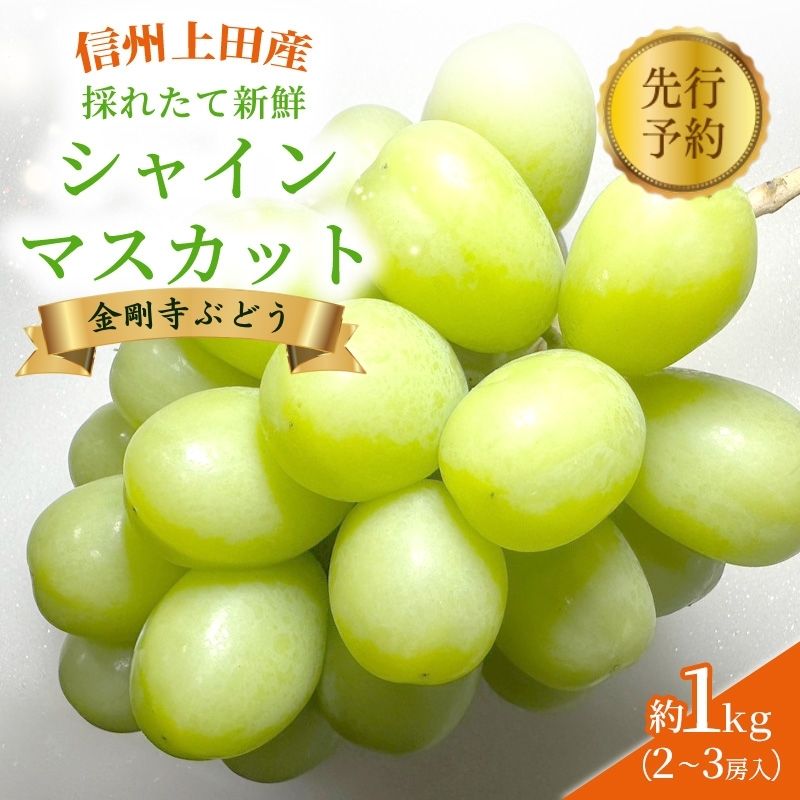 2025年先行予約 シャインマスカット 信州上田産金剛寺ぶどう 約1kg 2～3房 ぶどう 葡萄 ブドウ マスカット 1kg 果物 くだもの フルーツ デザート 旬の果物 旬のフルーツ 長野県 長野　　お届け：2025年10月初旬～2025年12月下旬まで