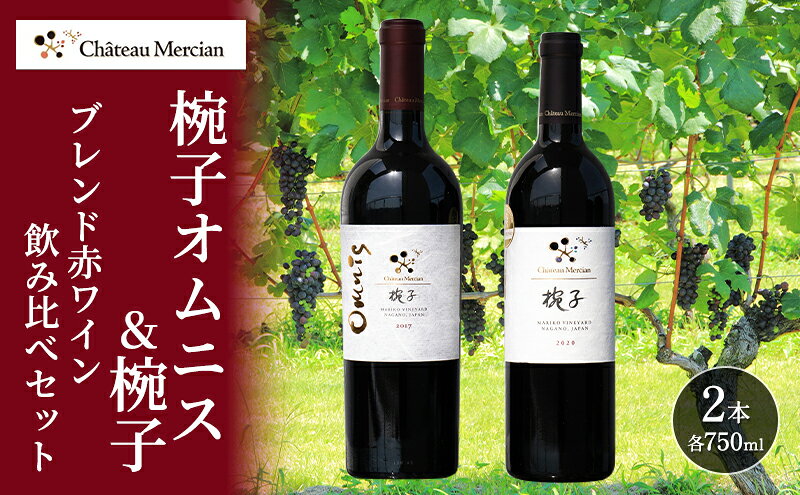 【ふるさと納税】赤ワイン 飲み比べセット 750ml 2本セット 椀子オムニス 椀子 ギフト シャトーメルシャン椀子ワイナリー シャトーメルシャン ワイン お酒 酒 アルコール 家飲み 宅飲み お祝い 記念日 飲み比べ セット 贈り物 プレゼント 信州 長野 長野県 上田市 サムネイル2