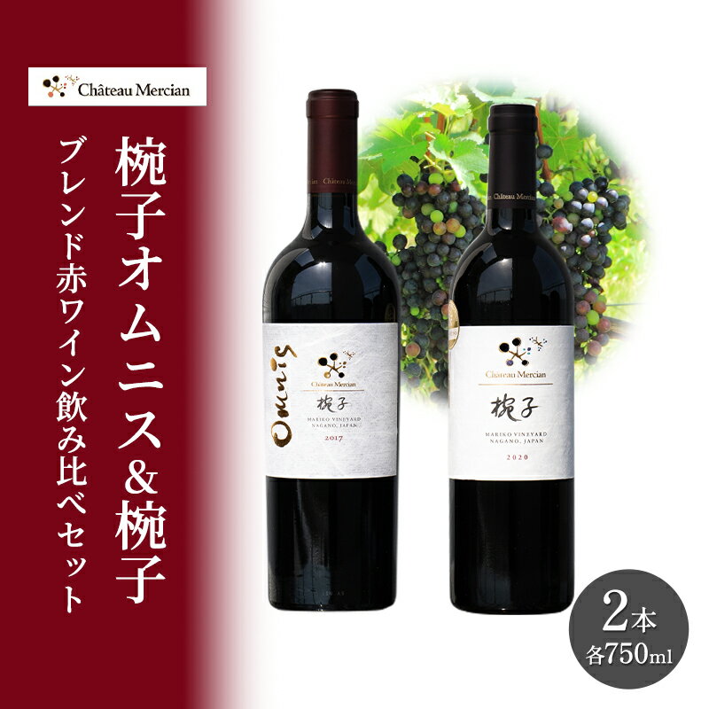 赤ワイン 飲み比べセット 750ml 2本セット 椀子オムニス 椀子 ギフト シャトーメルシャン椀子ワイナリー シャトーメルシャン ワイン お酒 酒 アルコール 家飲み 宅飲み お祝い 記念日 飲み比べ セット 贈り物 プレゼント 信州 長野 長野県 上田市