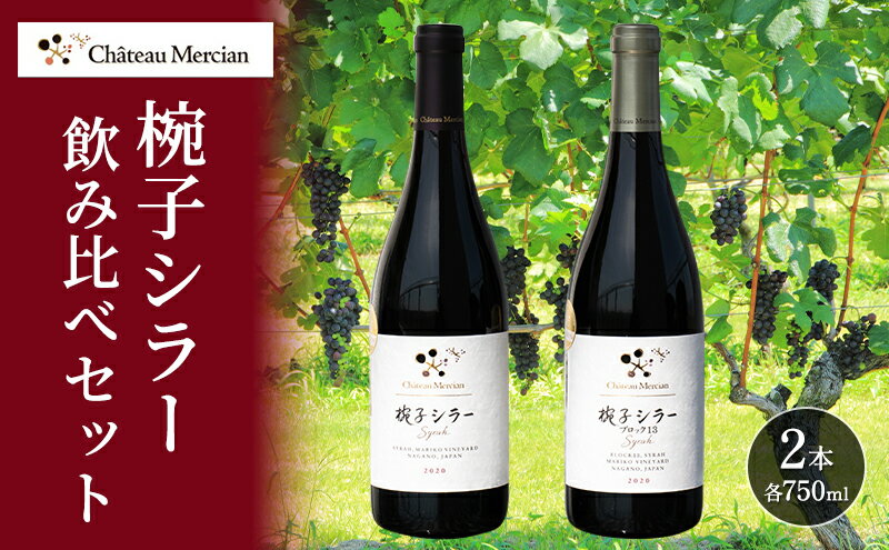 【ふるさと納税】赤ワイン 飲み比べセット 750ml 2本セット 椀子シラー ギフト シャトーメルシャン椀子ワイナリー シャトーメルシャン ワイン お酒 酒 アルコール 家飲み 宅飲み お祝い 記念日 飲み比べ セット 贈り物 プレゼント 信州 長野 長野県 上田市 サムネイル2