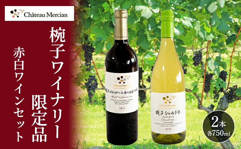 【ふるさと納税】ワイン 飲み比べセット 750ml 2本セット 赤ワイン 白ワイン 赤白セット ギフト シャトーメルシャン椀子ワイナリー シャトーメルシャン ワイン お酒 酒 アルコール 宅飲み お祝い 記念日 飲み比べ セット 贈り物 プレゼント 信州 長野 長野県 上田市 サムネイル2