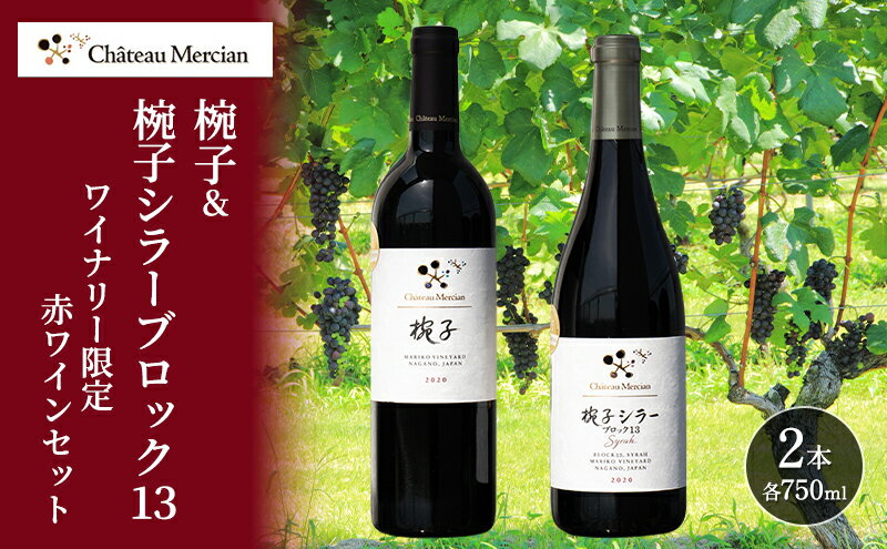 【ふるさと納税】限定 赤ワイン 飲み比べセット 750ml 2本 セット 椀子 椀子シラー ギフト シャトーメルシャン椀子ワイナリー シャトーメルシャン ワイン お酒 酒 アルコール 家飲み 宅飲み お祝い 記念日 飲み比べ 贈り物 プレゼント 信州 長野 長野県 上田市 サムネイル2