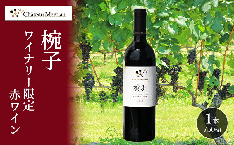 【ふるさと納税】限定 赤ワイン 750ml 椀子 ギフト シャトーメルシャン椀子ワイナリー シャトーメルシャン ワイン お酒 酒 アルコール 晩酌 家飲み 宅飲み お祝い 記念日 贈り物 プレゼント 信州 長野 長野県 上田市 サムネイル2