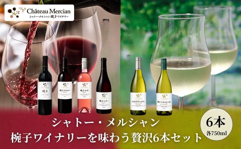 【ふるさと納税】シャトー・メルシャン 椀子ワイナリーを味わう6本セット ワイン 赤ワイン 白ワイン ロゼワイン お酒 酒 アルコール 長野 長野県 上田市 サムネイル2