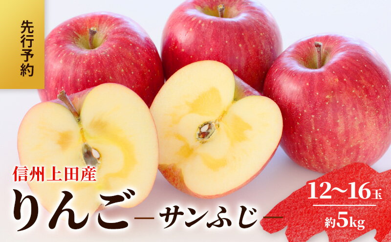 【ふるさと納税】りんご 信州上田産 サンふじ 家庭用 約5kg 12～16玉 リンゴ 林檎 5kg サンフジ 果物 くだもの フルーツ デザート 旬の果物 旬のフルーツ 傷 長野県 長野 上田市　お届け：2025年12月上旬～中旬 サムネイル2
