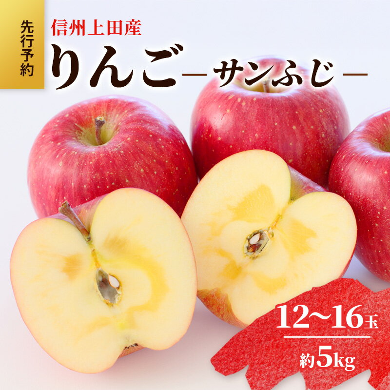 りんご 信州上田産 サンふじ 家庭用 約5kg 12～16玉 リンゴ 林檎 5kg サンフジ 果物 くだもの フルーツ デザート 旬の果物 旬のフルーツ 傷 長野県 長野 上田市　お届け：2025年12月上旬～中旬