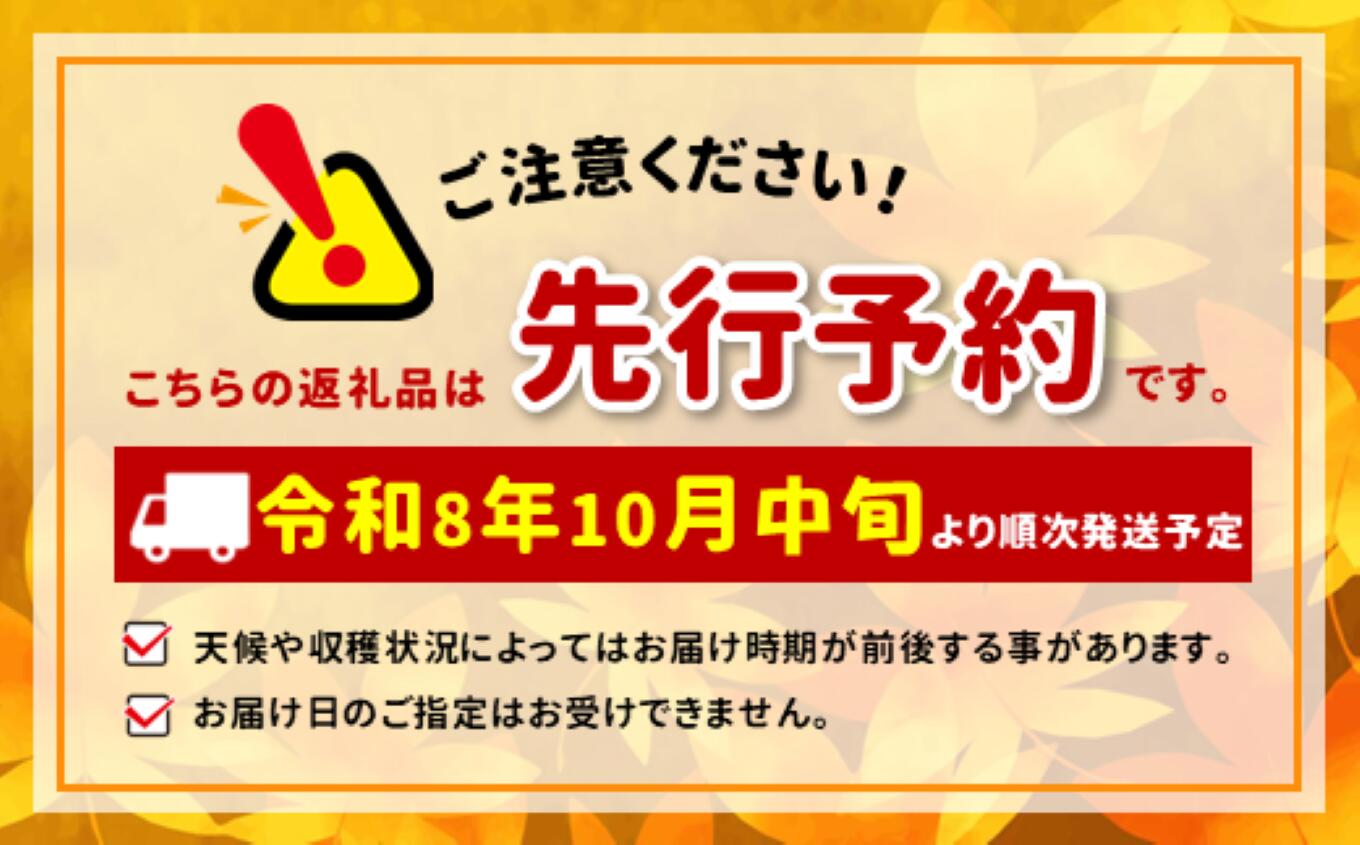 【ふるさと納税】土付き ネギ 約10kg | ネギ 葱 野菜 やさい 新鮮 健康 大容量 長野県 飯田市 - 画像3