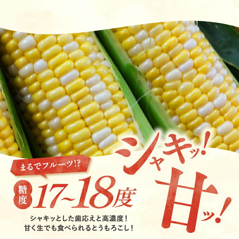 【ふるさと納税】【2026年先行予約】 朝採り フルーツとうもろこし (12～14本)＜2026年7月中旬～順次発送＞ たはたタカハシ | 甘い 生で食べられる とうもろこし トウモロコシ 野菜 朝取り 生食 おやつ ふるさと納税 長野県 飯田市 南信州 CA01 - 画像2