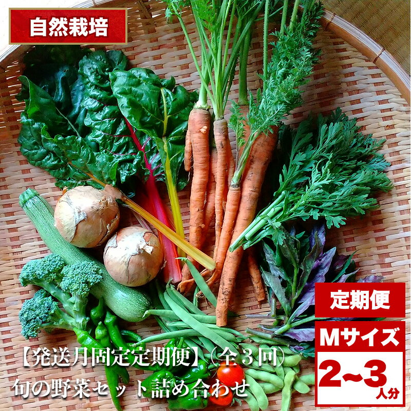 【3回定期便】2026先行予約 自然栽培 旬の野菜セット 詰め合わせ Mサイズ 2〜3人分 ｜ 野菜 セット 詰め合わせ 自然栽培 農薬不使用 旬 やさい サラダ 採れたて とれたて 新鮮 季節限定 長野県 飯田市 信州