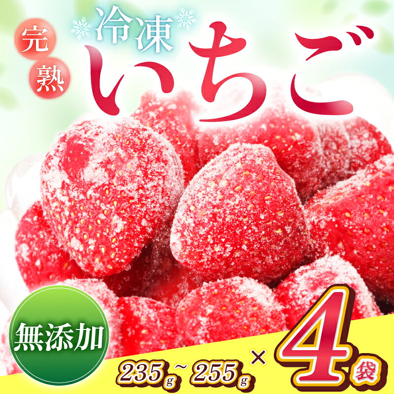 いちご 冷凍 南信州産 冷凍 アルプス イチゴ 235g～255g×4袋 | 冷凍 果物 フルーツ いちご 苺 アルプスイチゴ 冷凍いちご 朝採れ 完熟 真空冷凍 小分け タイプ スムージー ジャム 飯田市 長野県 信州
