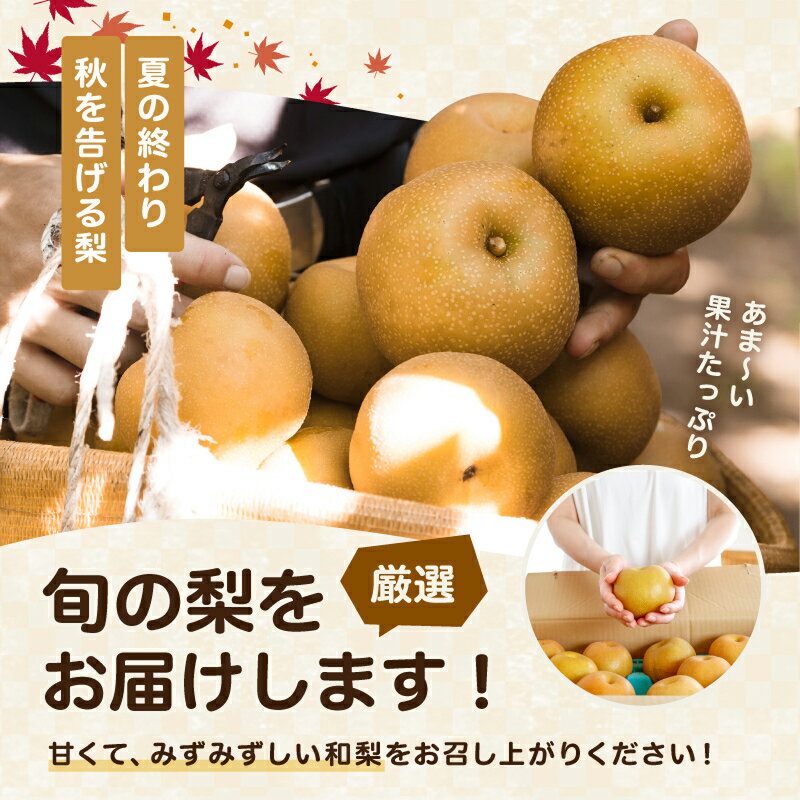 【ふるさと納税】南信州産 訳あり 和梨 約3kg 【2026年先行予約】| 果物 くだもの フルーツ和梨 梨 幸水 豊水 南水 あきづき 訳あり わけあり 長野県 信州 南信州 飯田市 BE01 - 画像2