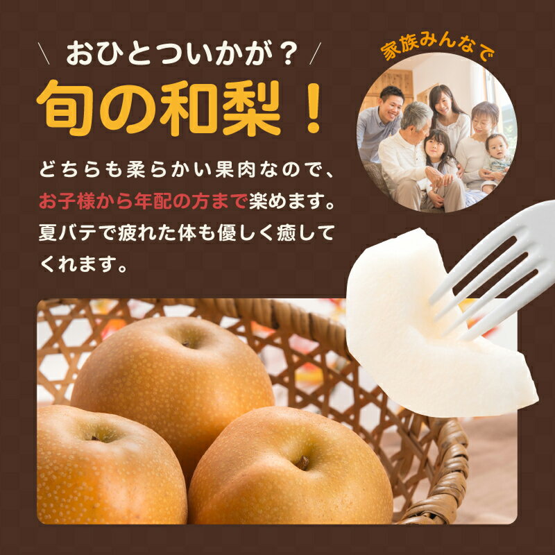 【ふるさと納税】南信州産 訳あり 和梨 約3kg 【2026年先行予約】| 果物 くだもの フルーツ和梨 梨 幸水 豊水 南水 あきづき 訳あり わけあり 長野県 信州 南信州 飯田市 BE01 - 画像3