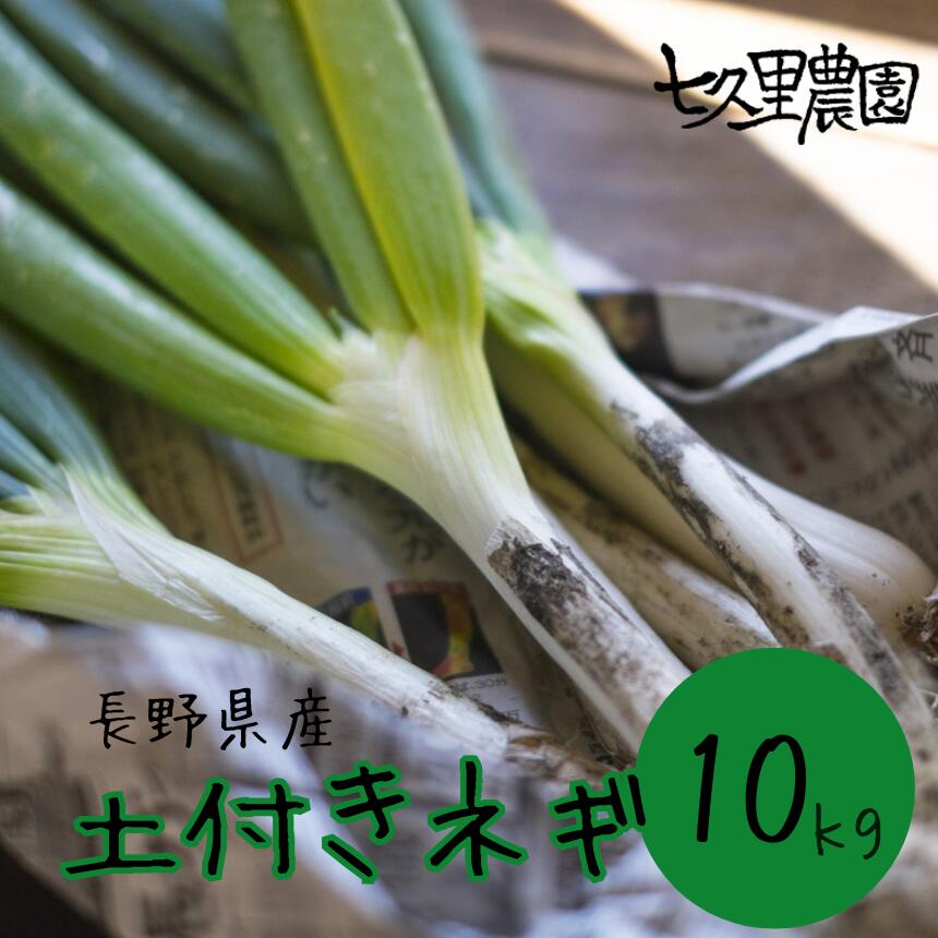 土付き ネギ 約10kg | ネギ 葱 野菜 やさい 新鮮 健康 大容量 長野県 飯田市