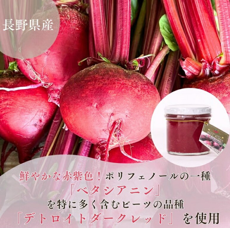 【ふるさと納税】ビーツ ピューレ 150g × 3個 | 加工品 瓶詰 野菜 ビーツ ピューレ ビーツピューレ 長野県 信州 南信州 飯田市 - 画像2