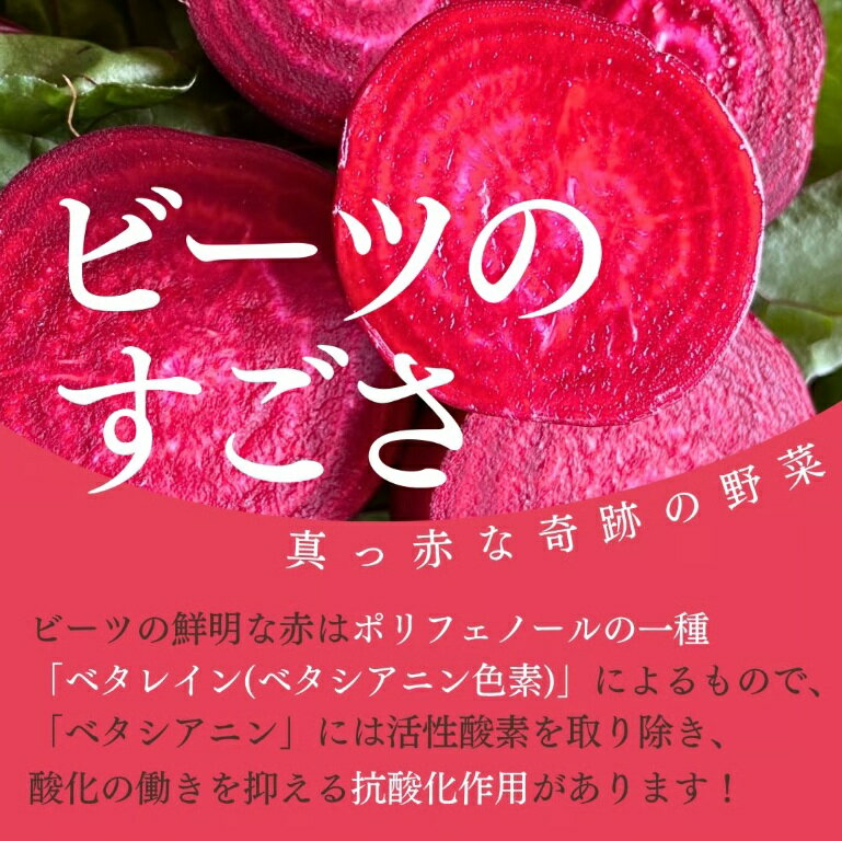 【ふるさと納税】レッドパワービーツ 約1.5kg【 お試し 1回 or 6回 定期便 】| 野菜 ビーツ レッドパワー レッドパワービーツ 定期 長野県 信州 南信州 飯田市 - 画像3