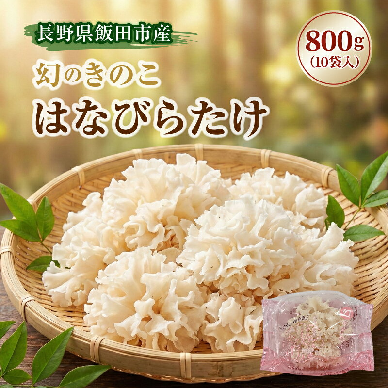 生はなびらたけ | きのこ キノコ はなびらたけ ハナビラタケ 長野県 飯田市