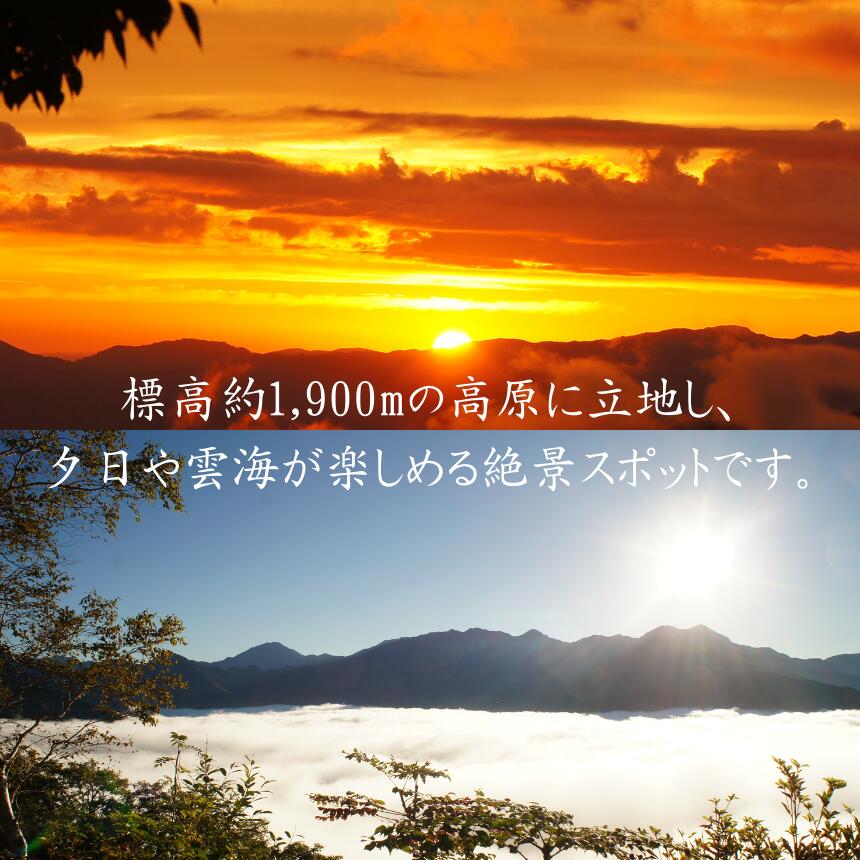 【ふるさと納税】しらびそ高原 ホテル 天の川 宿泊 ギフト 券【選べる金額】| 旅行 宿泊 観光 星空 聖地 ギフト 贈り物 ホテル 長野県 飯田市 - 画像3