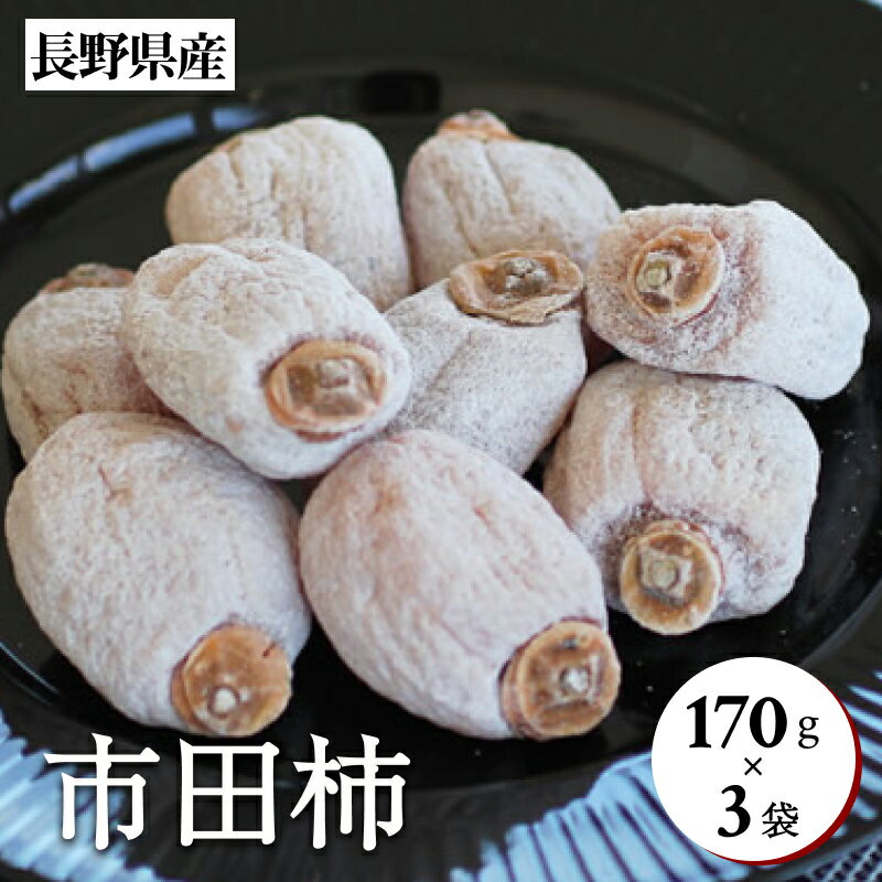 市田柿 長野県産 南信州 に伝わる 伝統の味 市田柿 170g×3袋 ＜2026年1月上旬～2月下旬発送＞ | 果物 くだもの フルーツ 柿 かき 市田柿 干し柿 長野県 信州 南信州 飯田市 B44