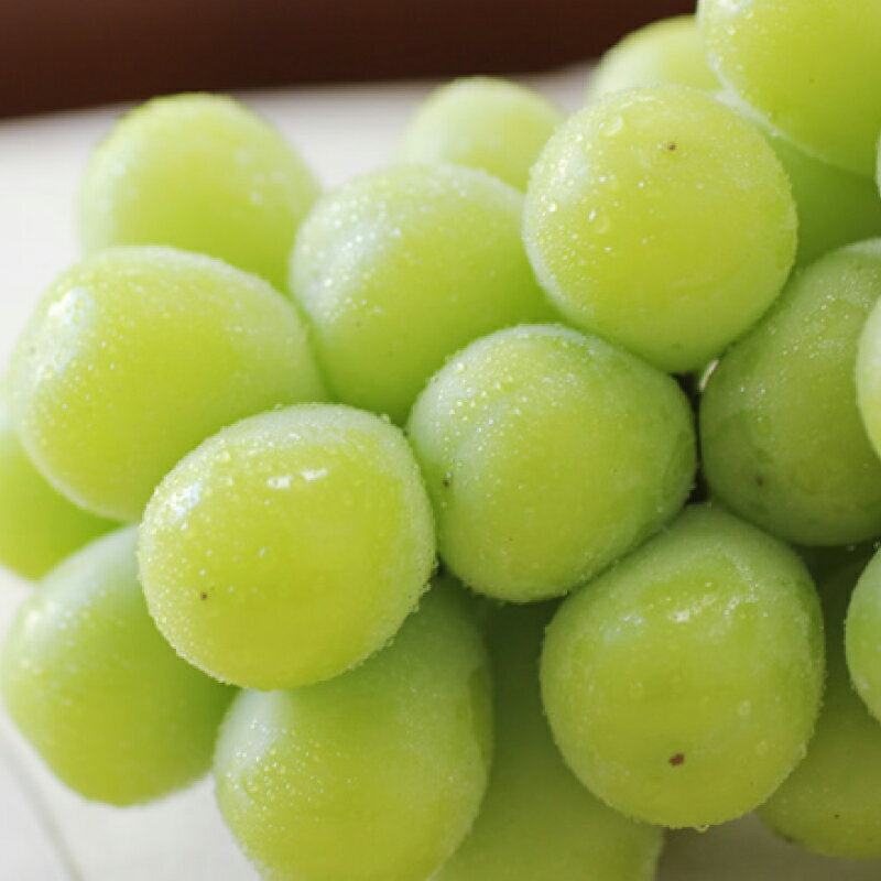 【ふるさと納税】 ぶどう シャインマスカット 氷温貯蔵 長野県産 シャインマスカット 約1kg 秀品 〈2025年11月上旬～12月下旬発送〉| 果物 くだもの フルーツ シャインマスカット ぶどう ブドウ 葡萄 長野県 信州 南信州 飯田市 B45 サムネイル2